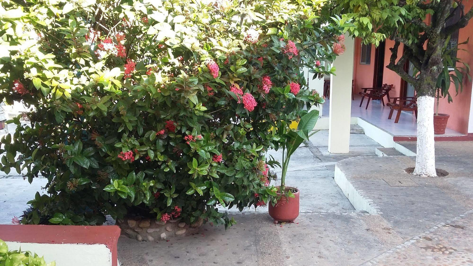 Hotel Mallorca Palenque Exterior photo